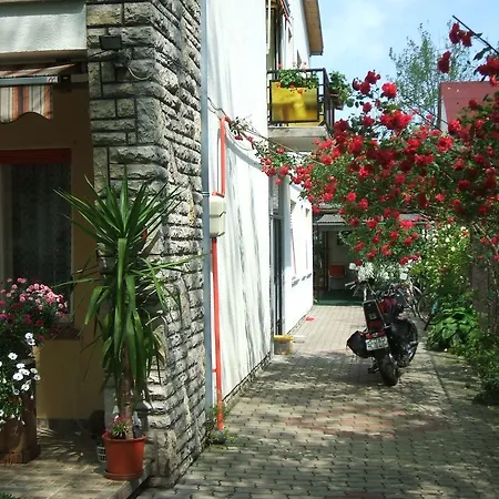 Otis Vendeghaz * شيوفوك