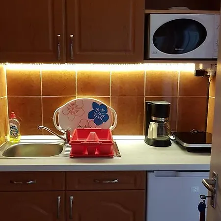 Otis Vendeghaz Apartment