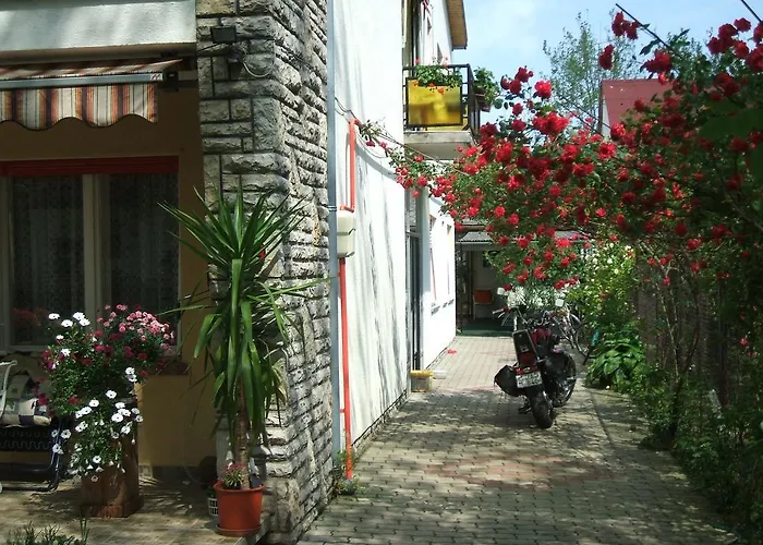 Otis Vendeghaz * Siófok