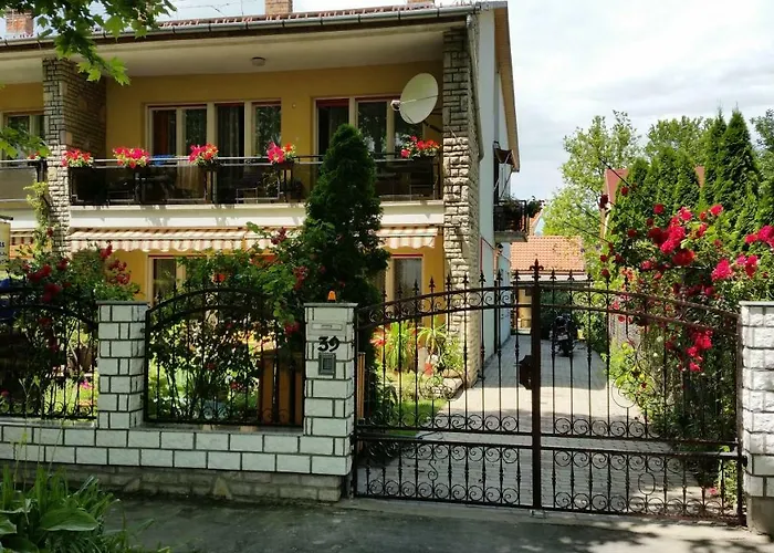 Otis Vendeghaz * Siófok